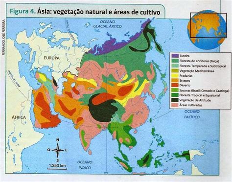 no caderno relacione os tipos de clima atuantes no território asiático com suas respectivas vegetais